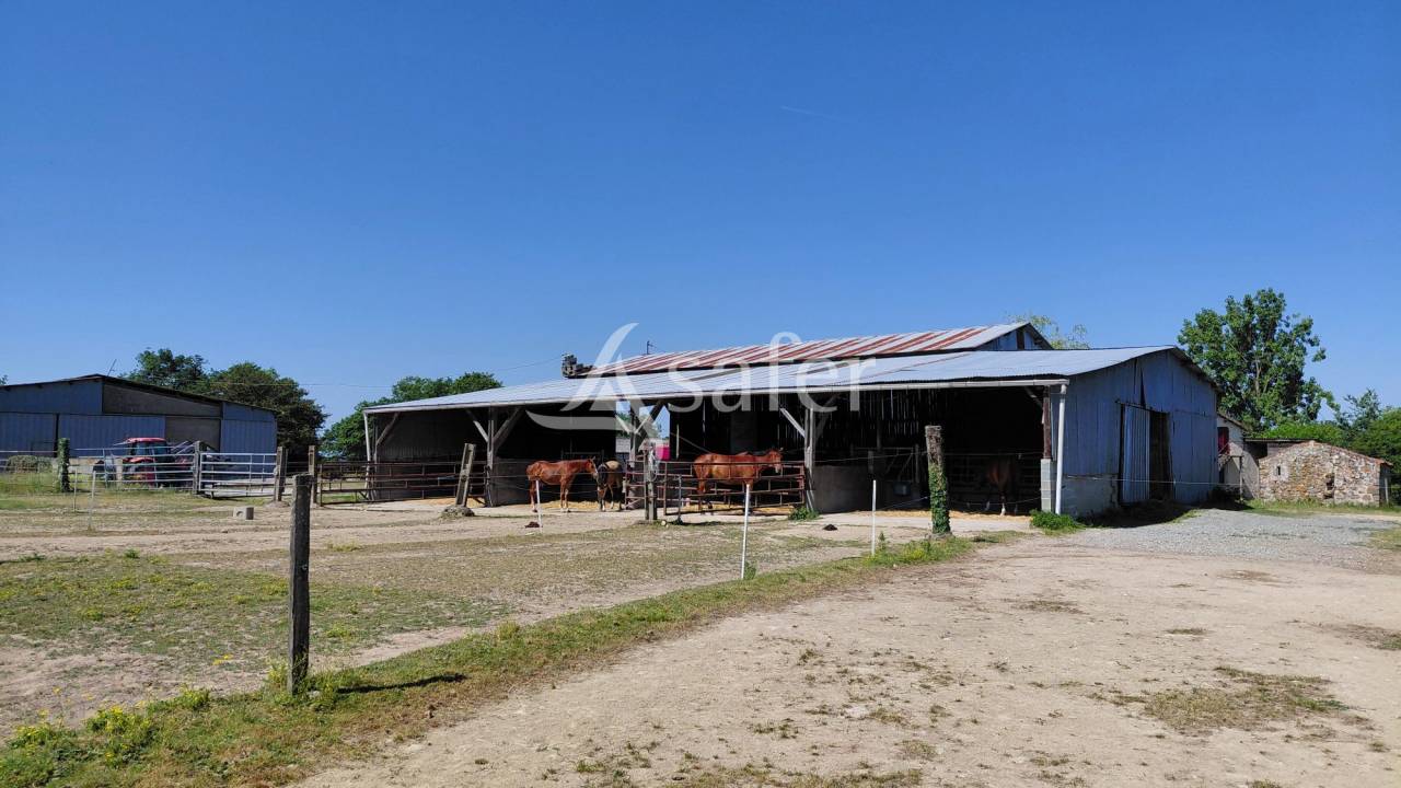Propiedad ecuestre En venta Deux-S&egrave;vres