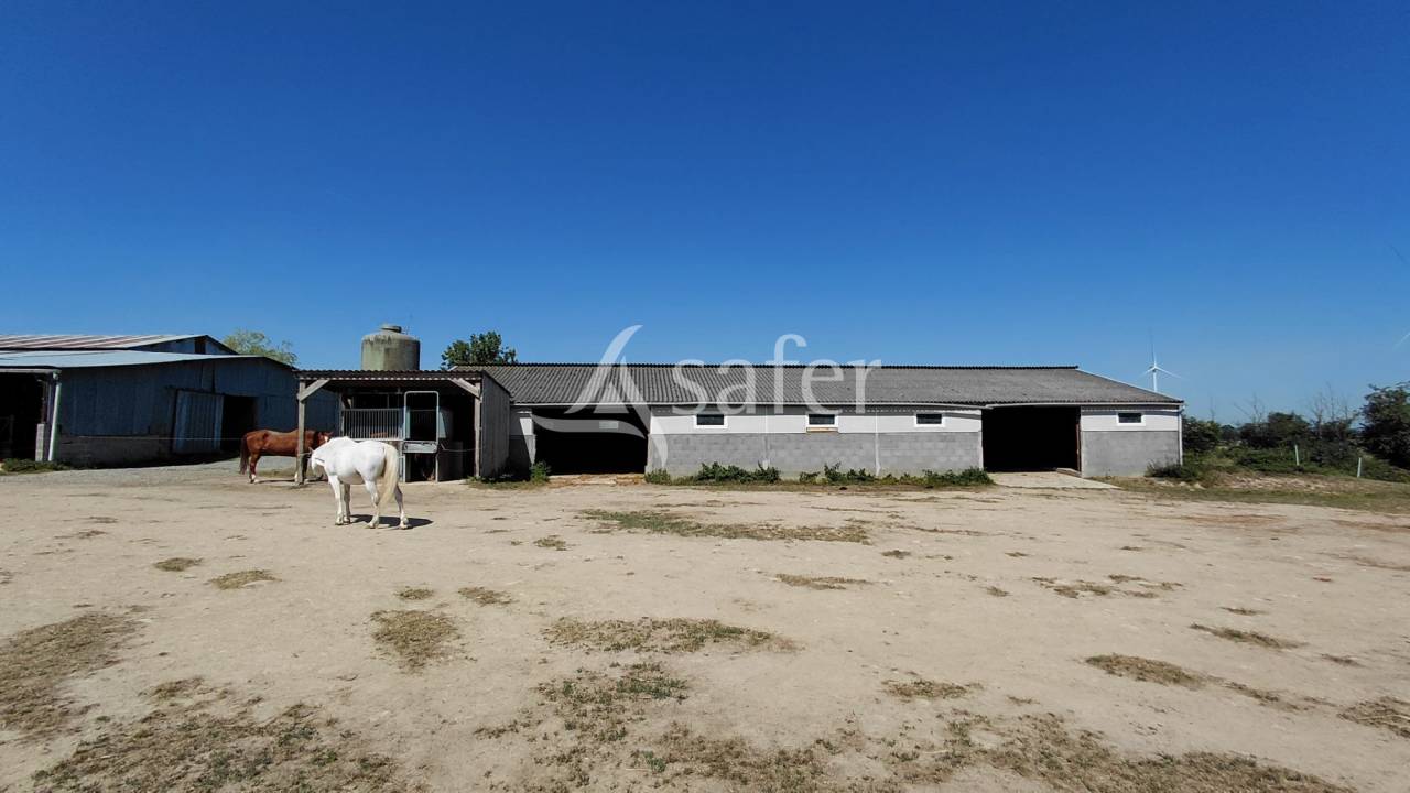 Propiedad ecuestre En venta Deux-S&egrave;vres
