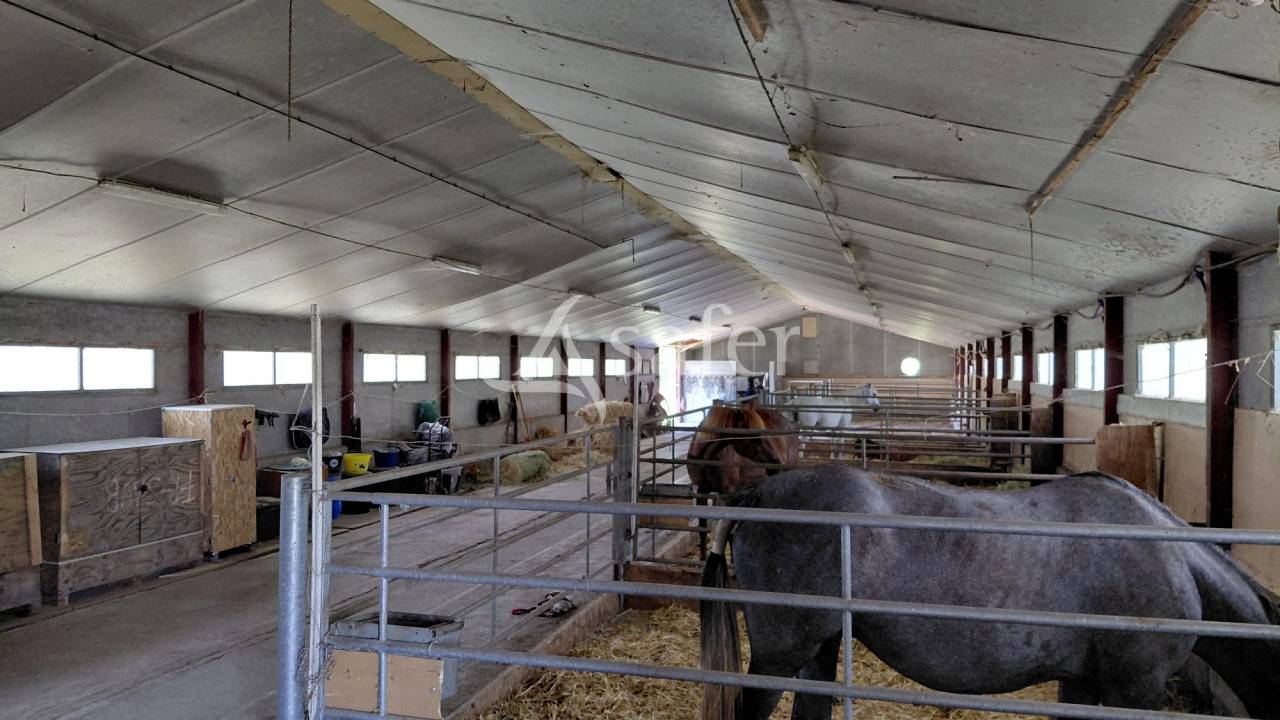 Propiedad ecuestre En venta Deux-S&egrave;vres