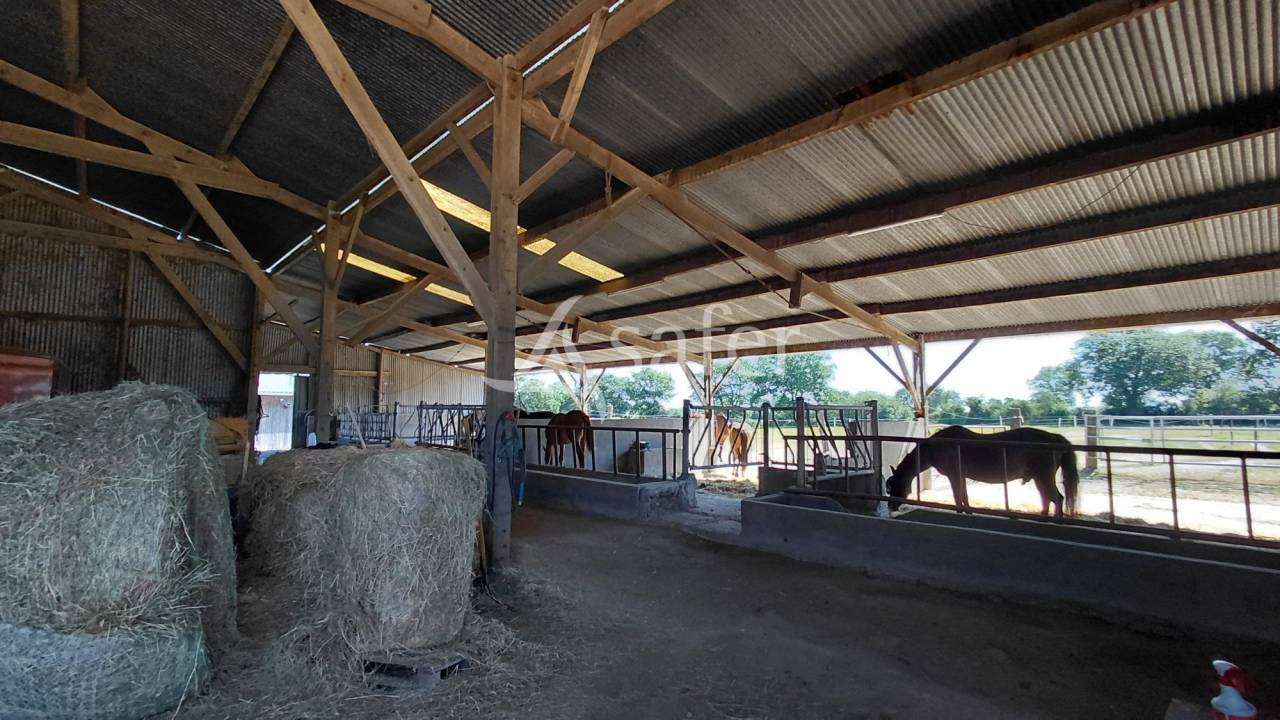 Propiedad ecuestre En venta Deux-S&egrave;vres