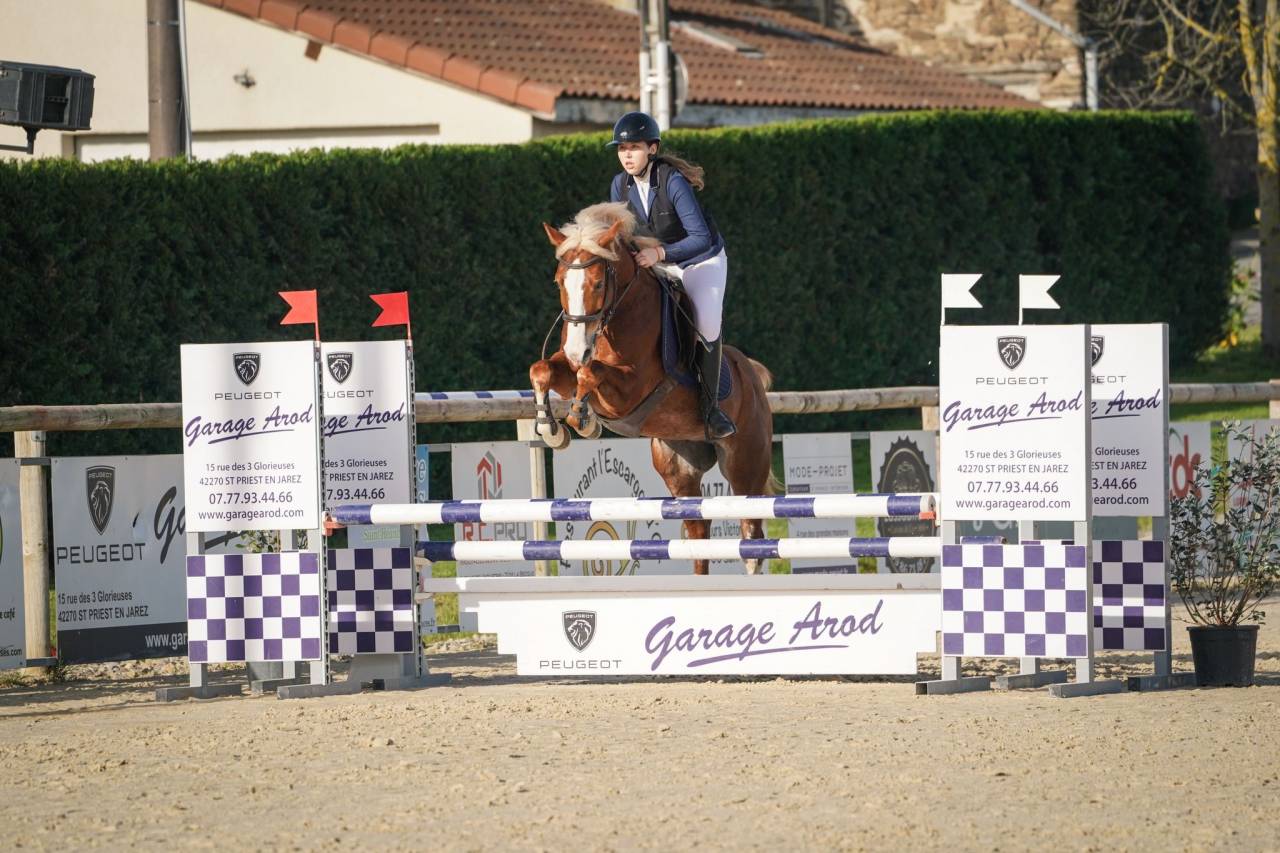 Caballo castrado PFS Poni Fran&ccedil;&eacute;s de Silla En venta 2020 Pelo de vaca