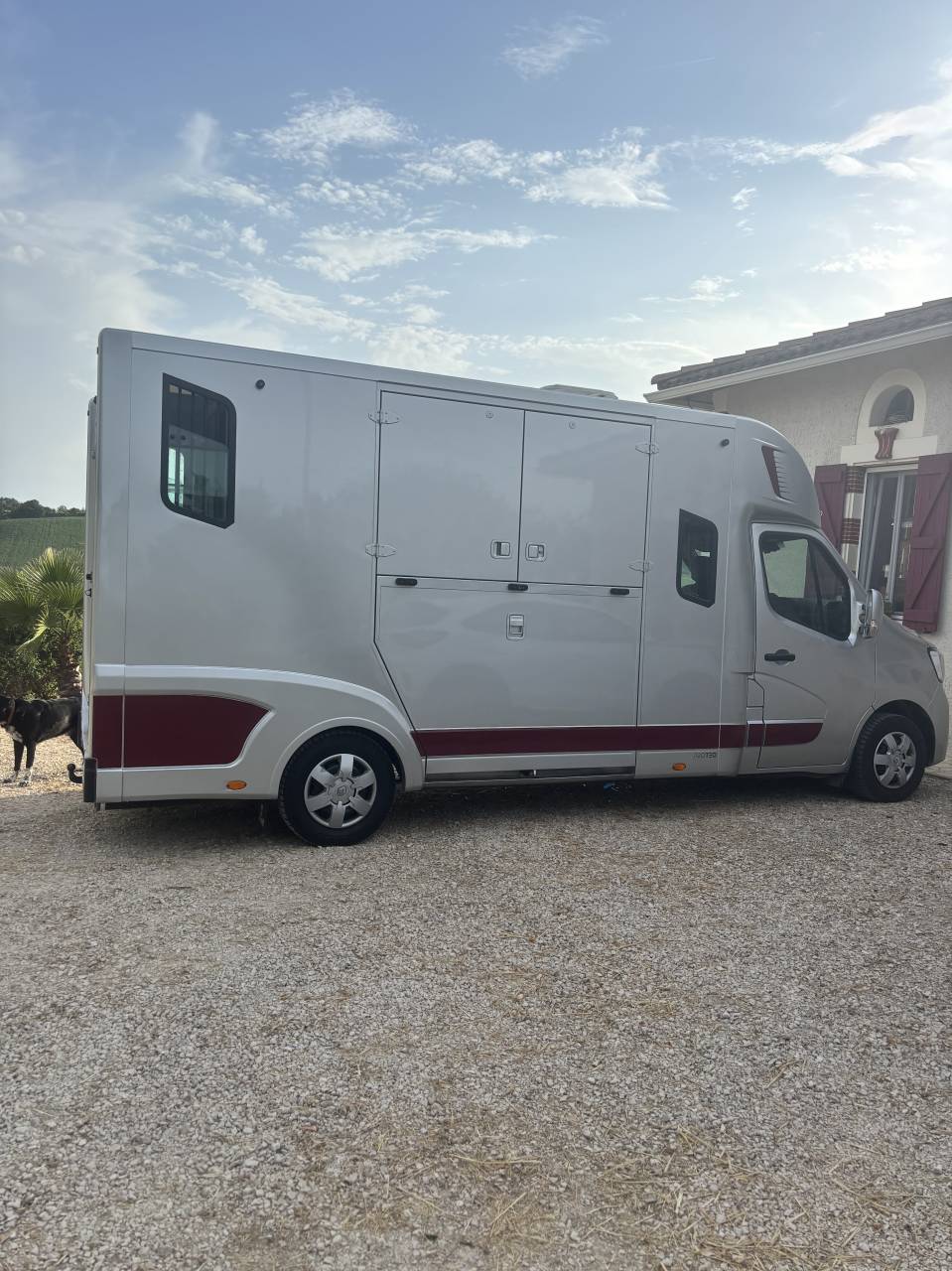 Furgoneta para caballos Theault Renault nv Master Pl cab. Grd Confort L3H1 Energy  2021 De segunda mano