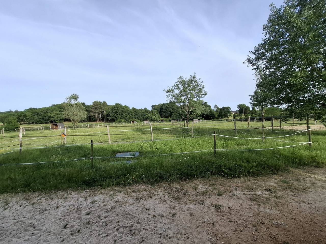 Albergue ecuestre En venta Indre y Loira