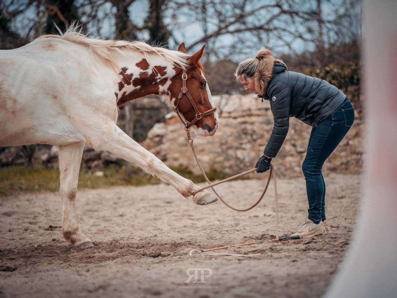 Yegua Silla Franc&eacute;s En venta 2018 P&iacute;o