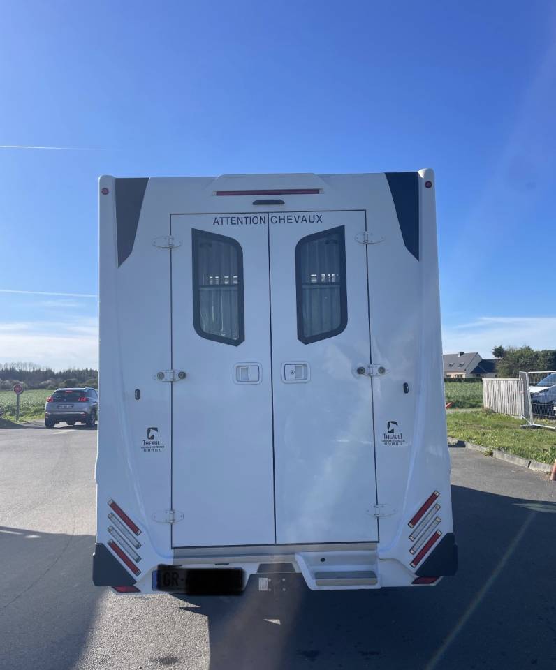 Furgoneta para caballos Renault master proteo switch stalles 2023 De segunda mano