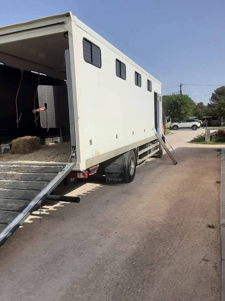 Cami&oacute;n para caballos Renault Premium  2010 De segunda mano