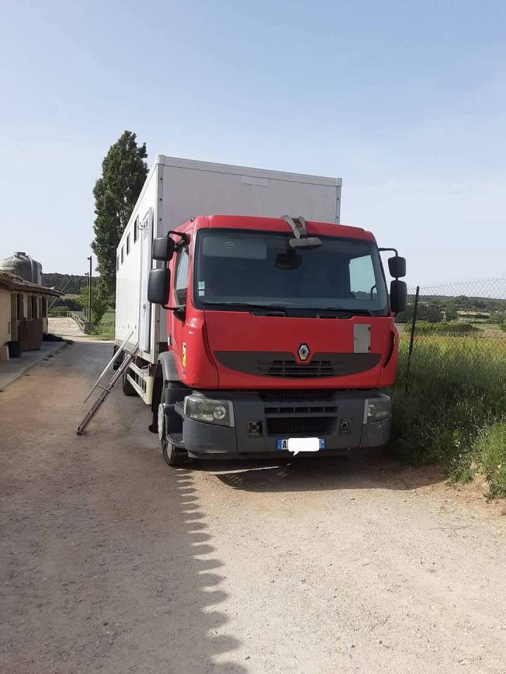 Cami&oacute;n para caballos Renault Premium  2010 De segunda mano