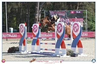 Caballo castrado PFS Poni Fran&ccedil;&eacute;s de Silla En venta 2019 Alaz&aacute;n por Mon Nantano de florys