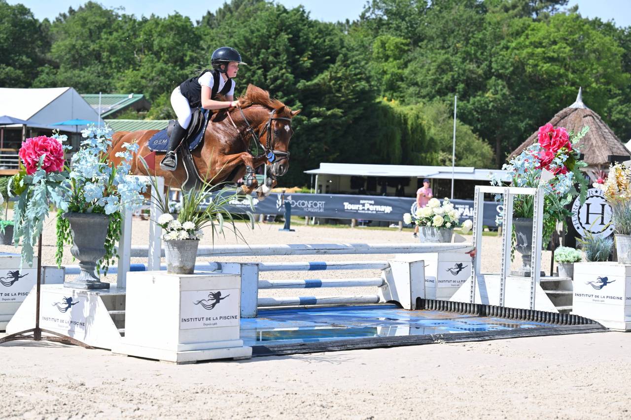 Caballo castrado PFS Poni Fran&ccedil;&eacute;s de Silla En venta 2019 Alaz&aacute;n por Mon Nantano de florys