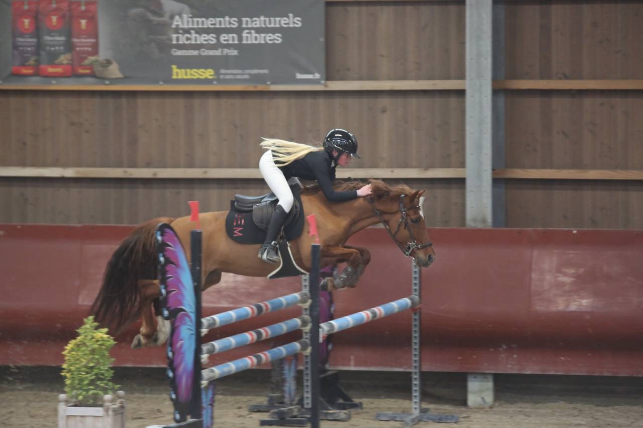 Caballo castrado PFS Poni Fran&ccedil;&eacute;s de Silla En venta 2019 Alaz&aacute;n por Mon Nantano de florys