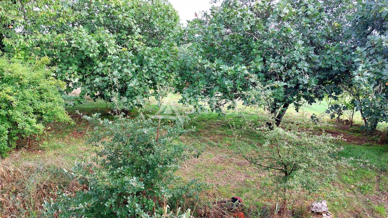 Propiedad ecuestre En venta Dordo&ntilde;a