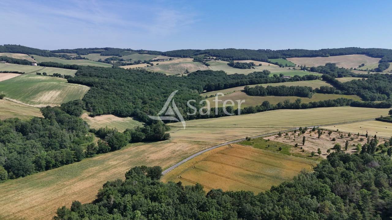 Explotaci&oacute;n agr&iacute;cola En venta Tarn