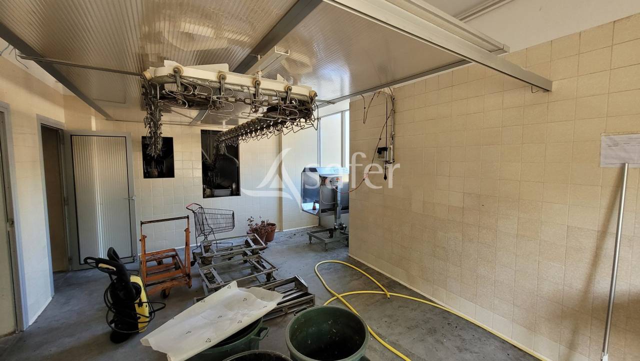 Explotaci&oacute;n agr&iacute;cola En venta Tarn