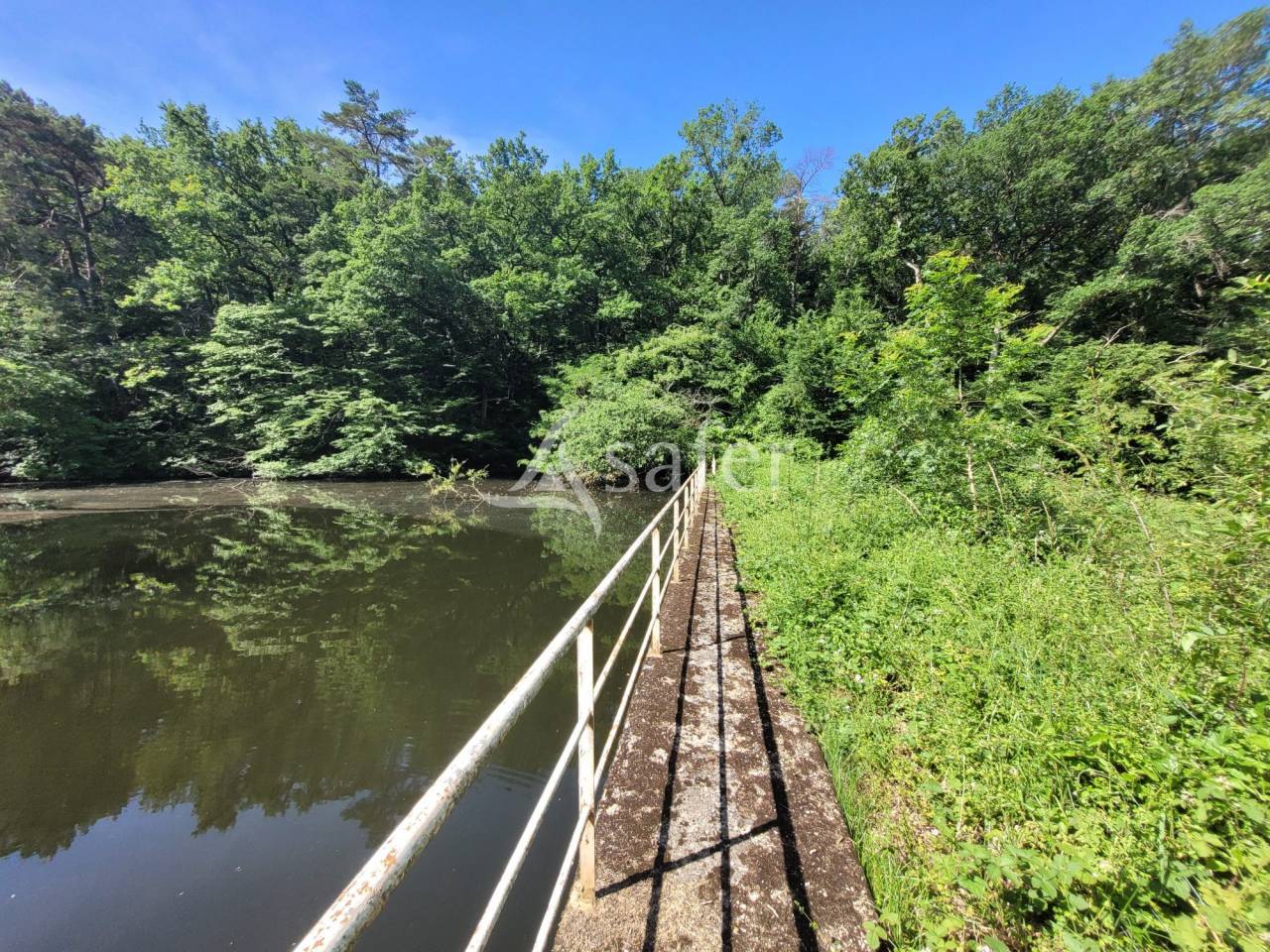 Explotaci&oacute;n agr&iacute;cola En venta Tarn