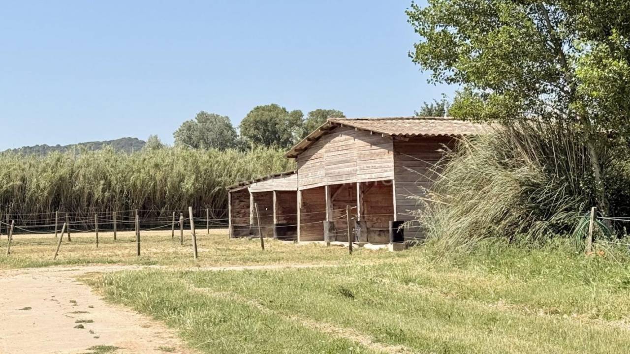 Propiedad ecuestre En venta Vaucluse