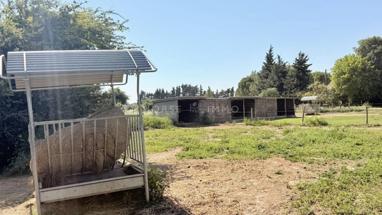 Propiedad ecuestre En venta Vaucluse
