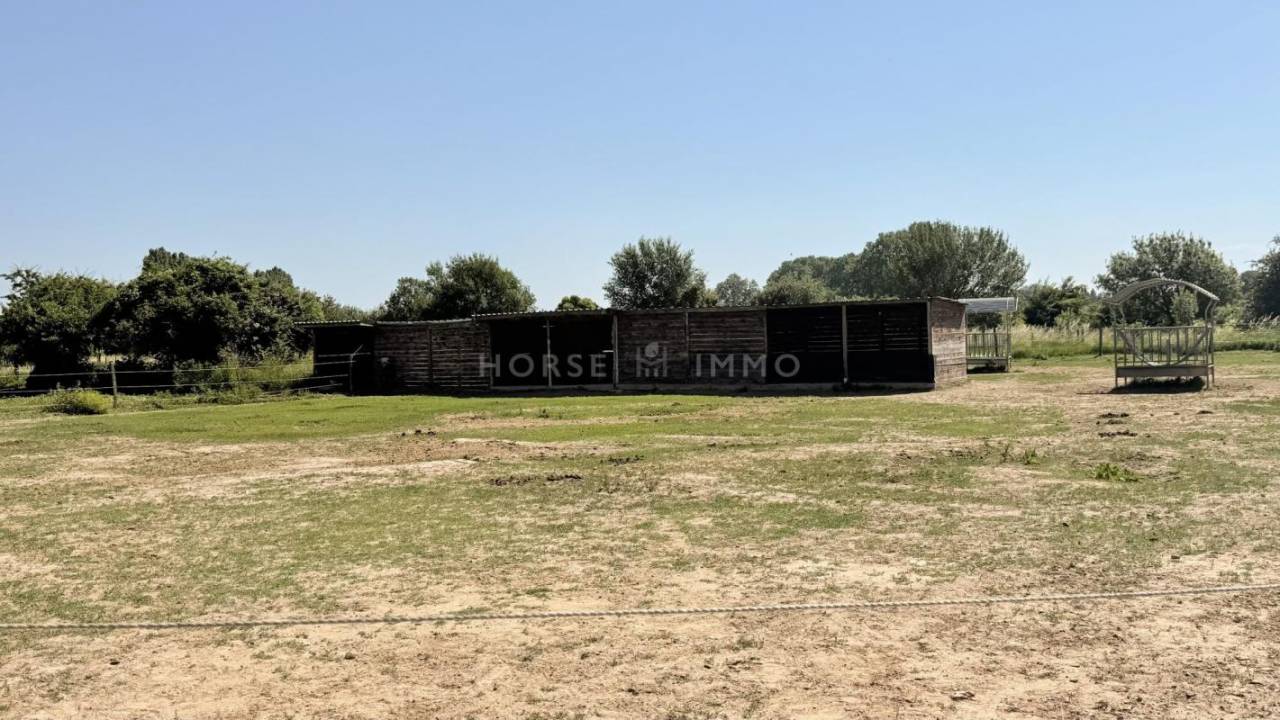 Propiedad ecuestre En venta Vaucluse