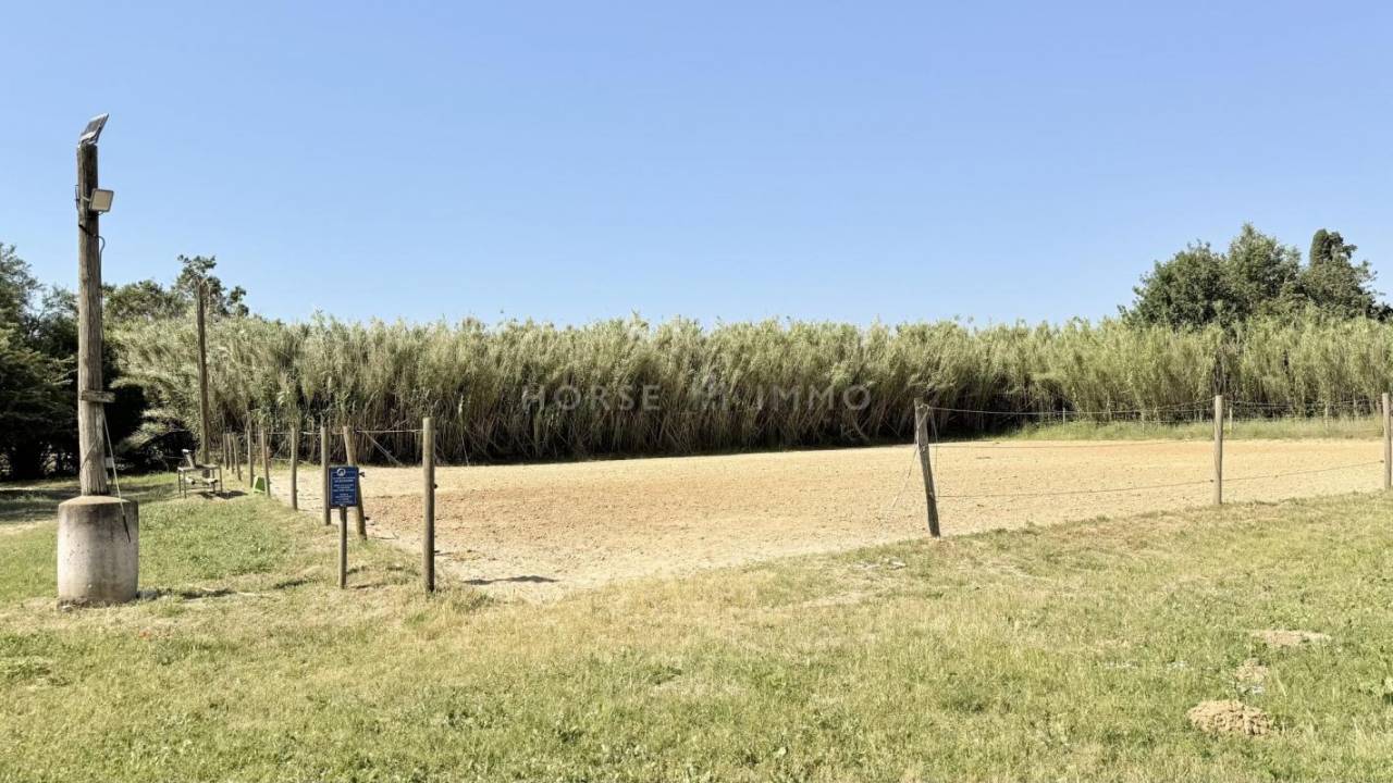 Propiedad ecuestre En venta Vaucluse