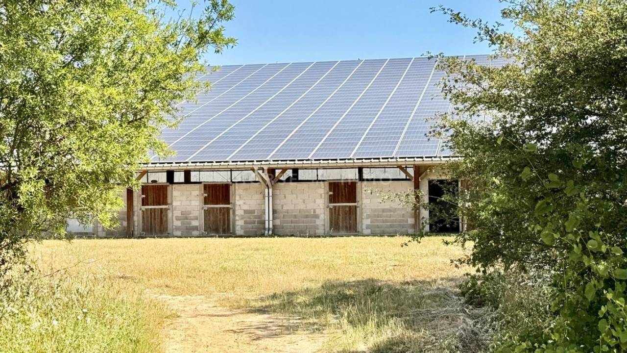 Propiedad ecuestre En venta Vaucluse