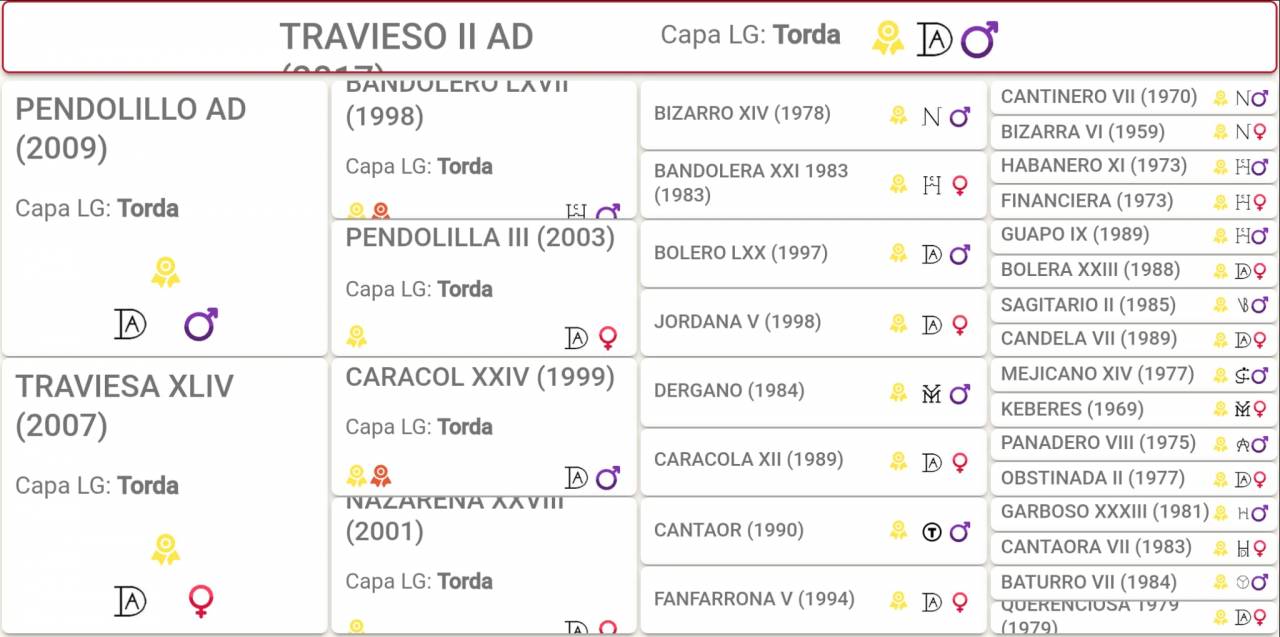 PRE Travieso II AD 9 years