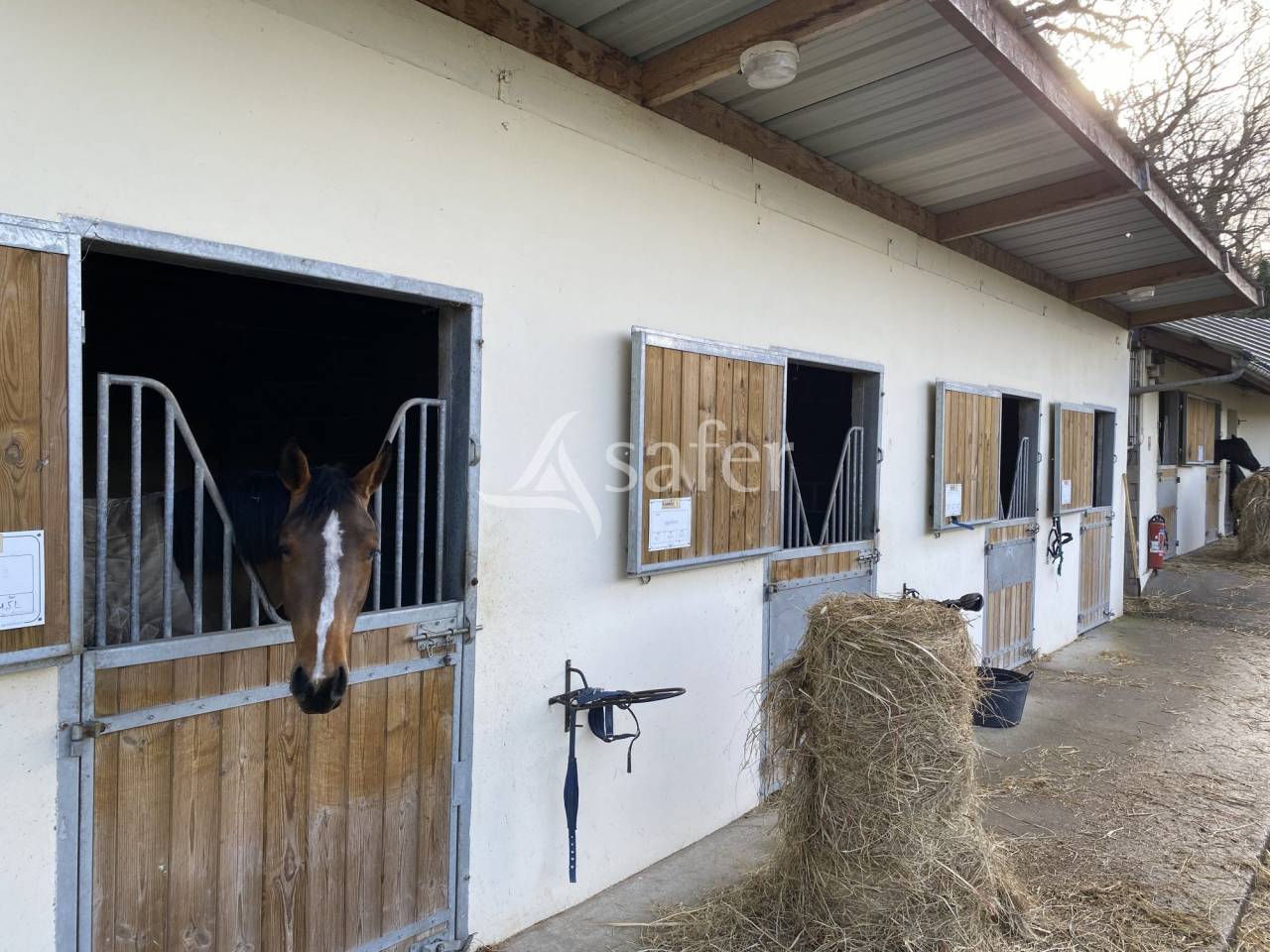 Propiedad ecuestre En venta Calvados
