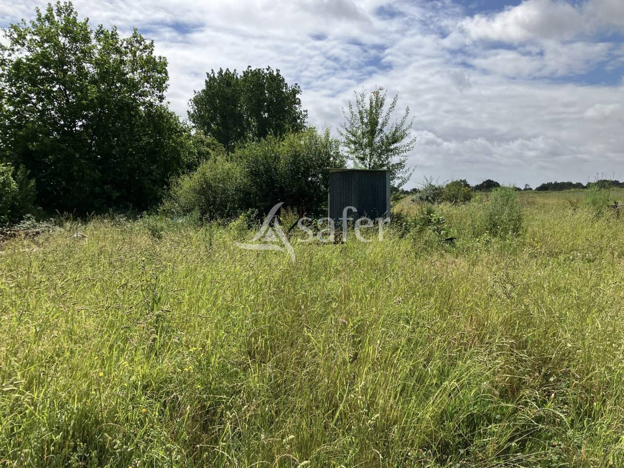 Explotaci&oacute;n hort&iacute;cola En venta Vend&eacute;e