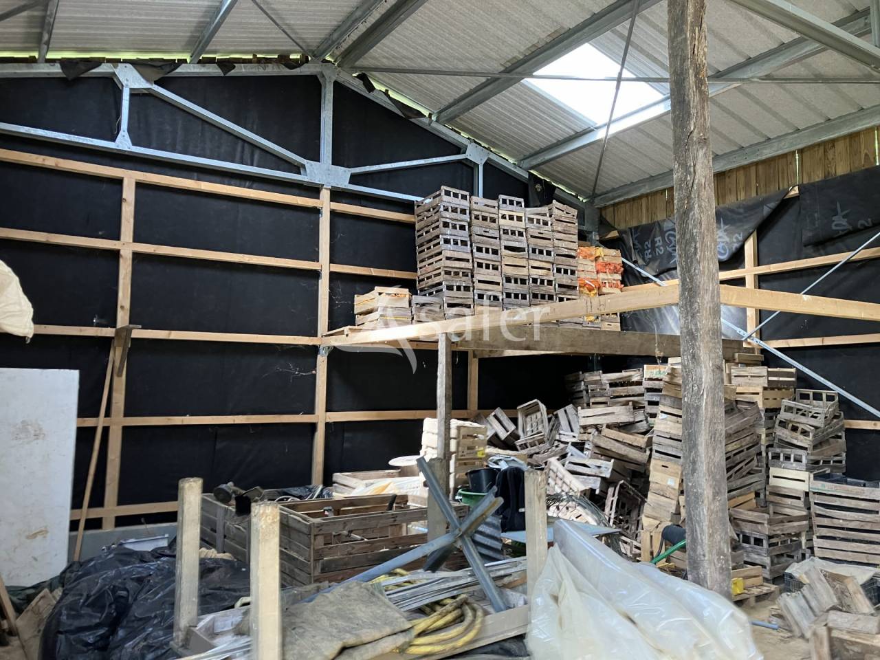 Explotaci&oacute;n hort&iacute;cola En venta Vend&eacute;e