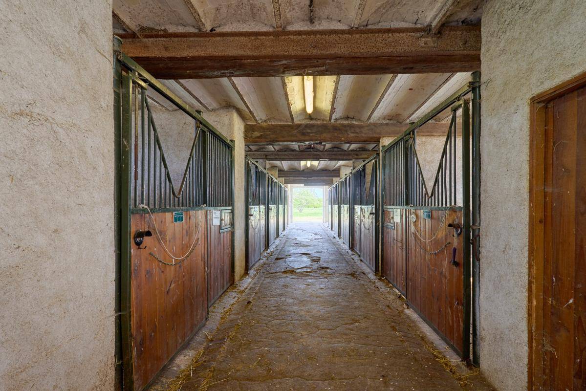 Propiedad ecuestre En venta Loiret