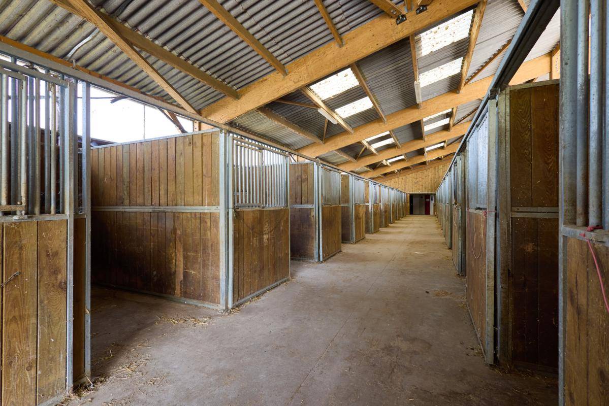 Propiedad ecuestre En venta Loiret
