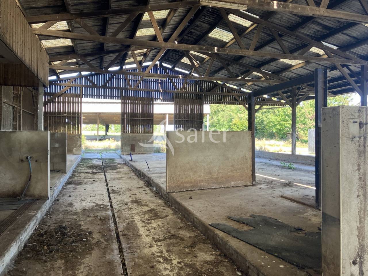 Explotaci&oacute;n av&iacute;cola En venta Mayenne
