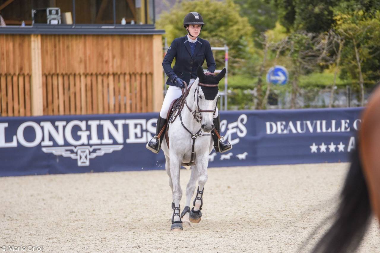 Caballo castrado Silla Franc&eacute;s En venta 2015 Tordo por OGRION DES CHAMPS