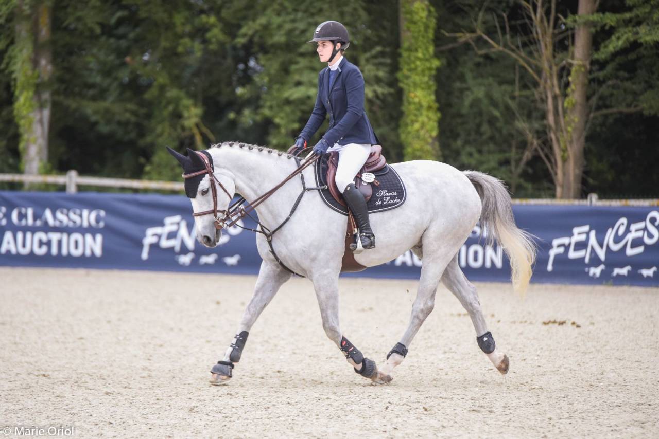 Caballo castrado Silla Franc&eacute;s En venta 2015 Tordo por OGRION DES CHAMPS