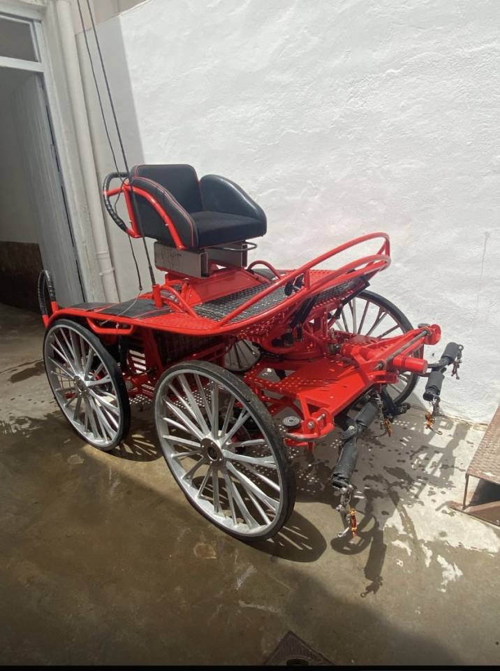 Coche enganches - Marat&oacute;n competici&oacute;n - Otra marca - Kutzman ktz 350 