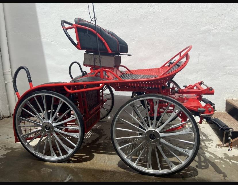 Coche enganches - Marat&oacute;n competici&oacute;n - Otra marca - Kutzman ktz 350 