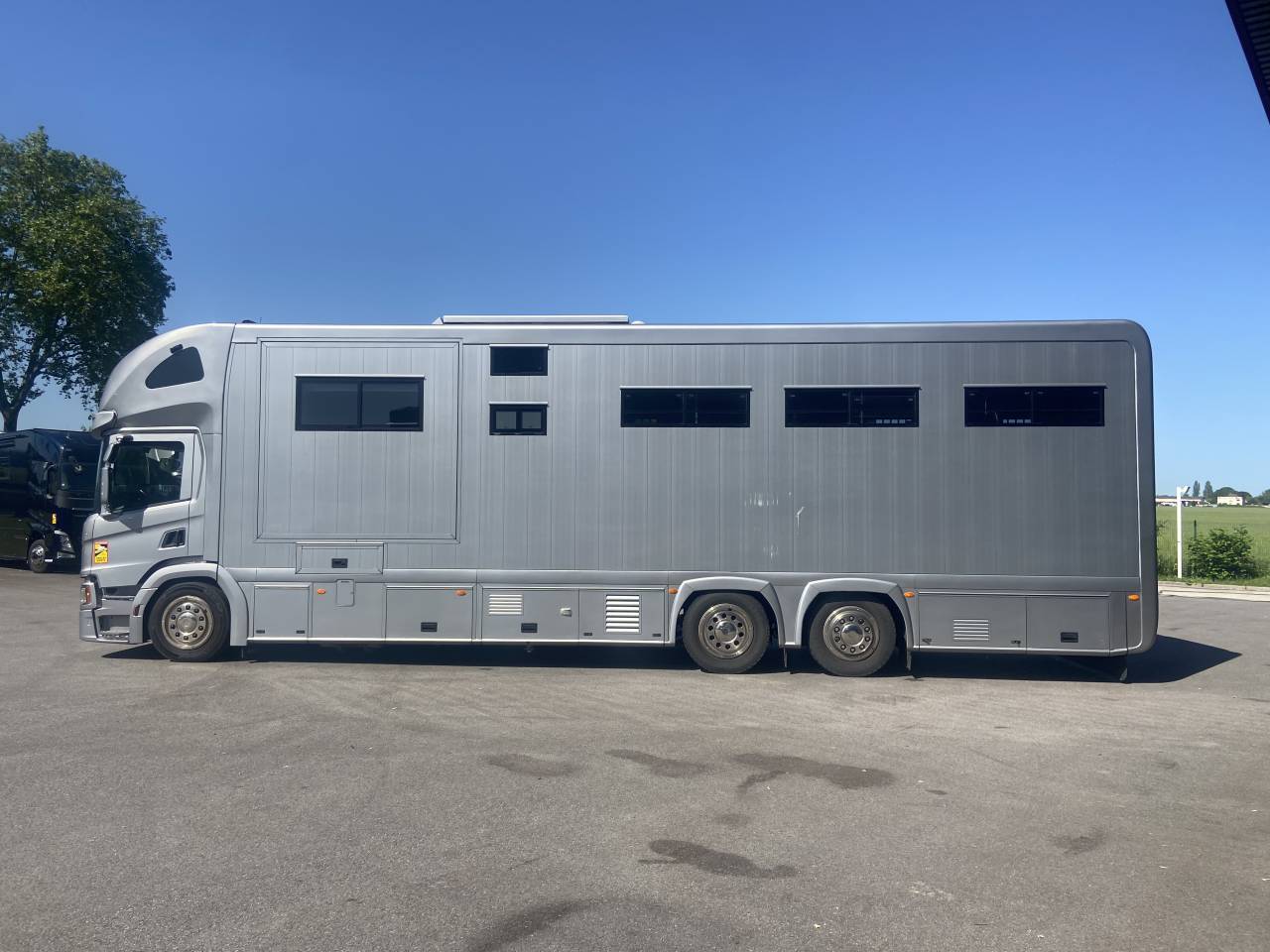 Cami&oacute;n para caballos STX  2021 De segunda mano