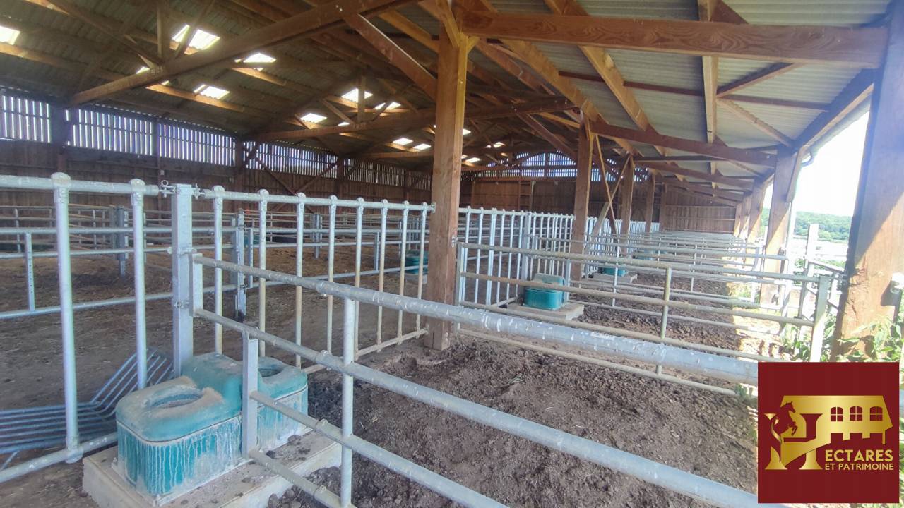 Propiedad ecuestre En venta Saona y Loira
