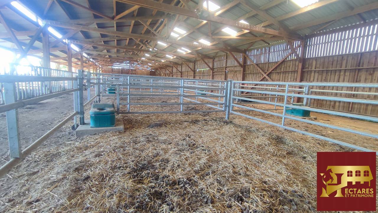 Propiedad ecuestre En venta Saona y Loira