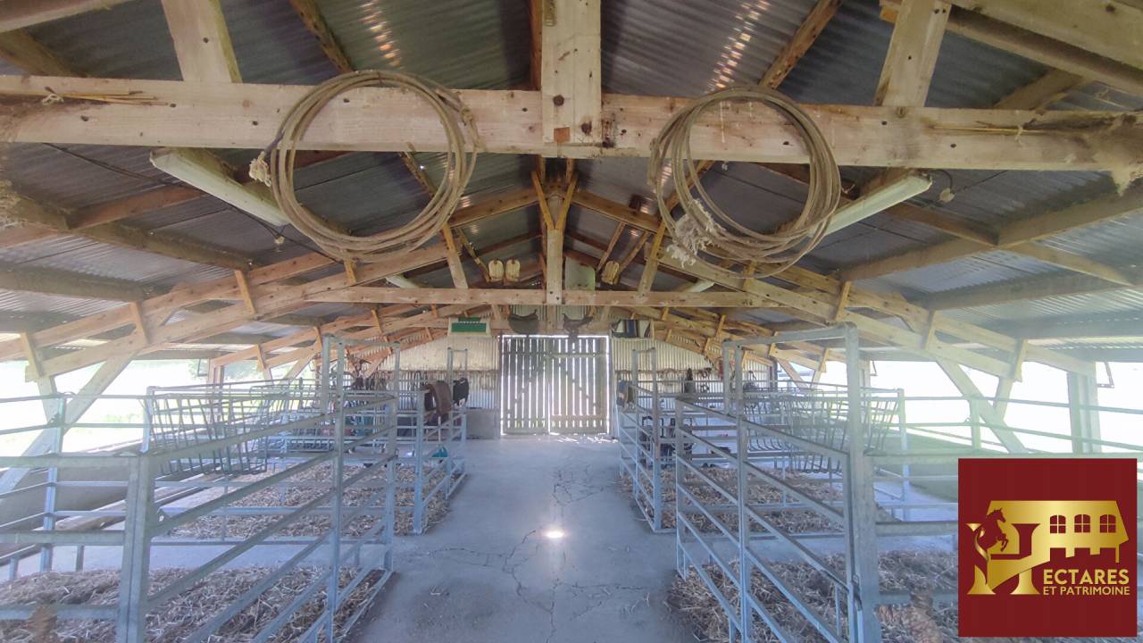 Propiedad ecuestre En venta Saona y Loira