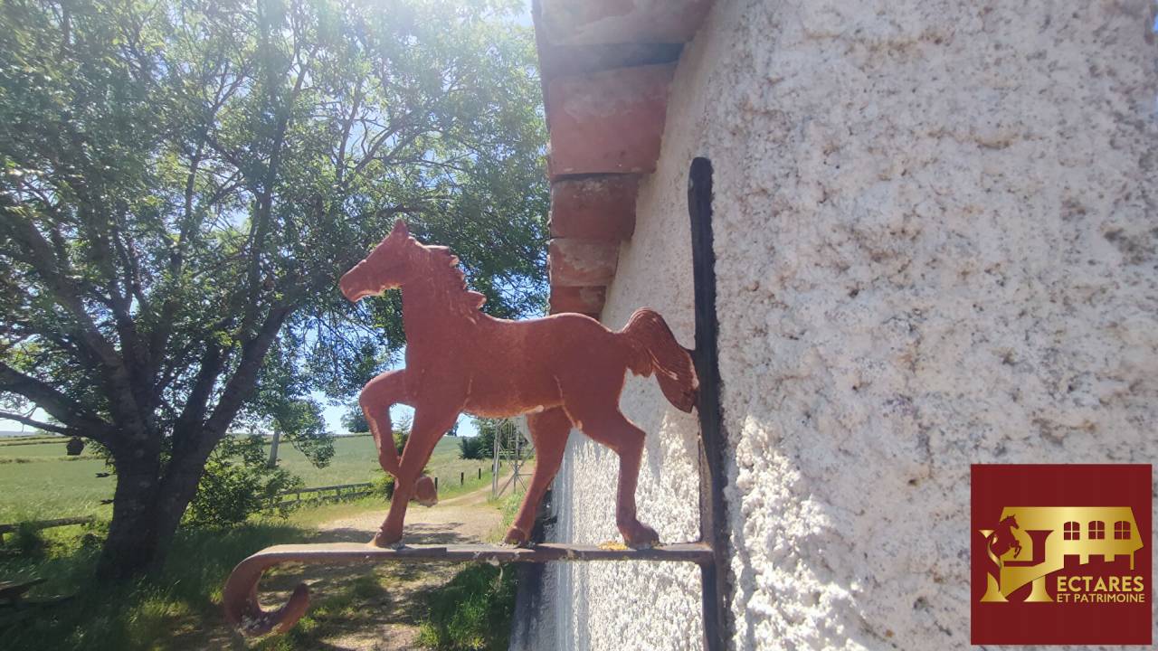 Propiedad ecuestre En venta Saona y Loira