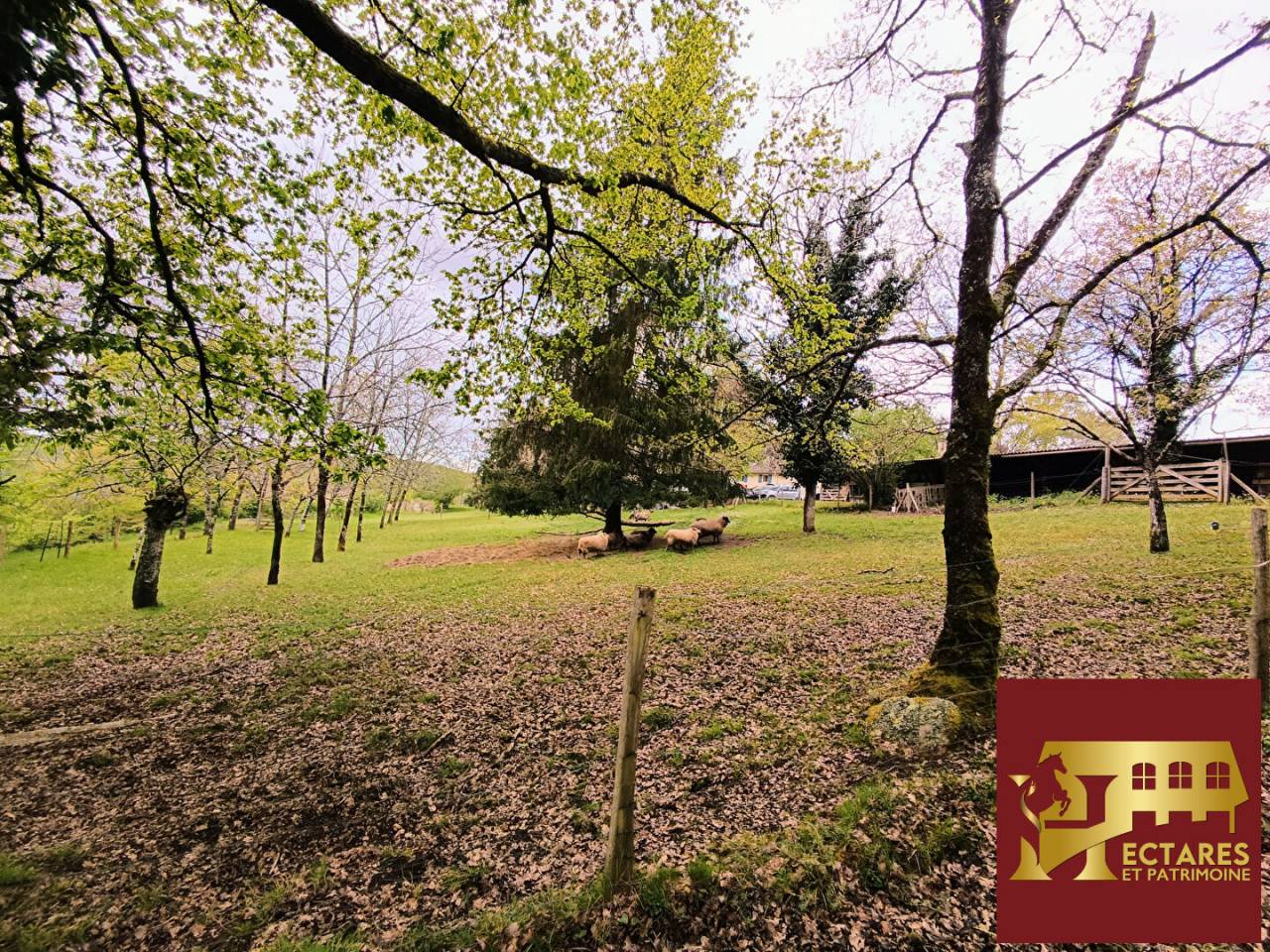 Albergue ecuestre En venta Dordo&ntilde;a