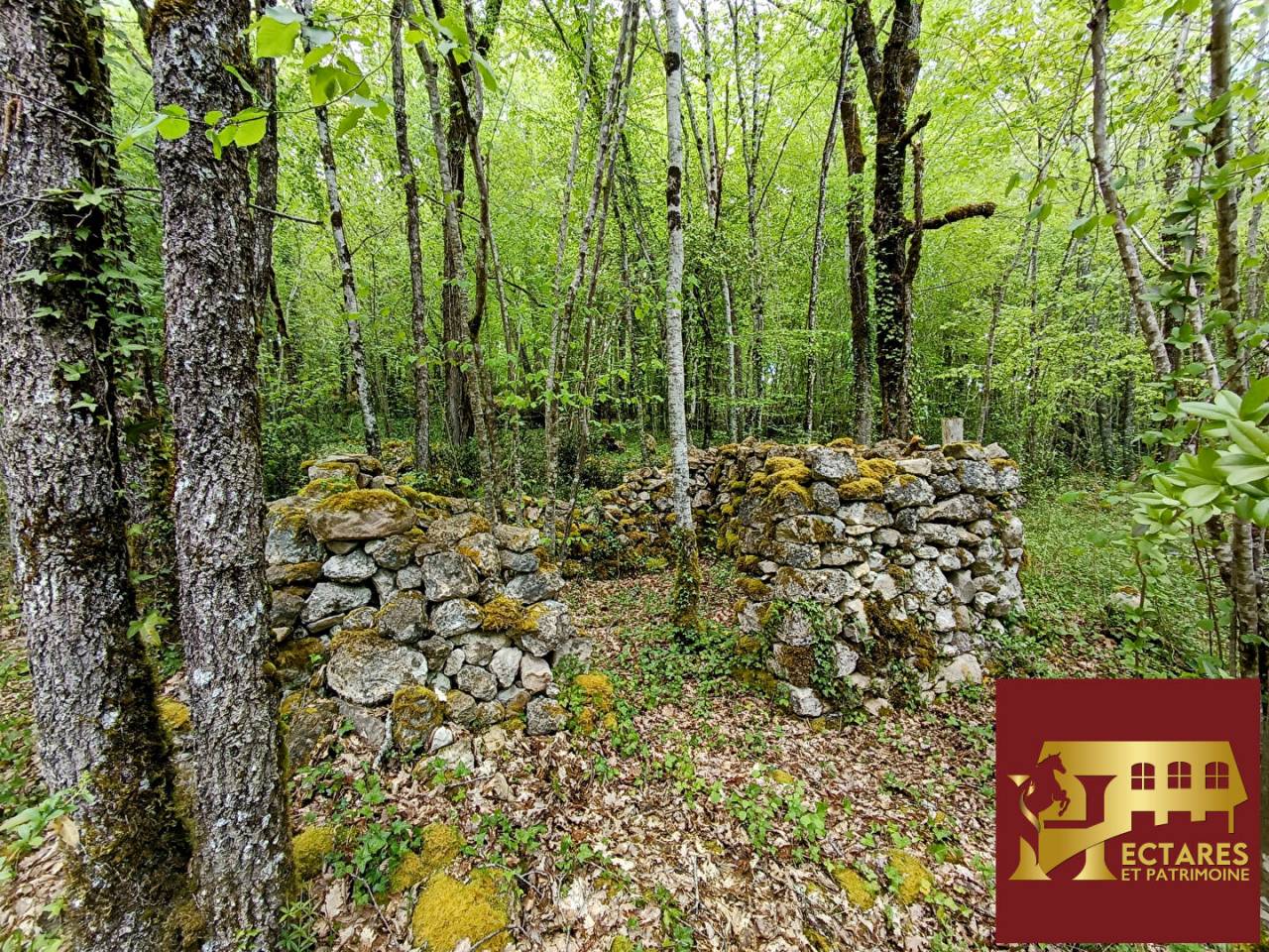 Albergue ecuestre En venta Dordo&ntilde;a