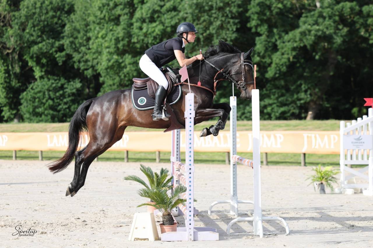 Caballo castrado Silla Franc&eacute;s En venta 2020 Bayo moreno por VANCOUVER de lanlore