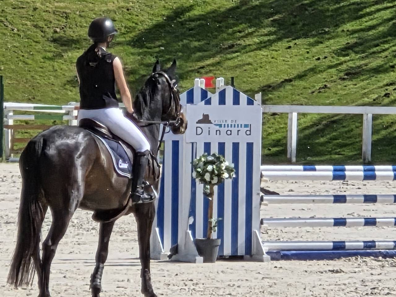 Caballo castrado Silla Franc&eacute;s En venta 2020 Bayo moreno por VANCOUVER de lanlore