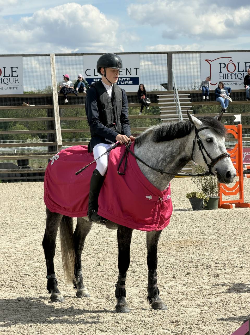 Caballo castrado Origine Constat&eacute;e En venta 2017 Tordo por TRESOR