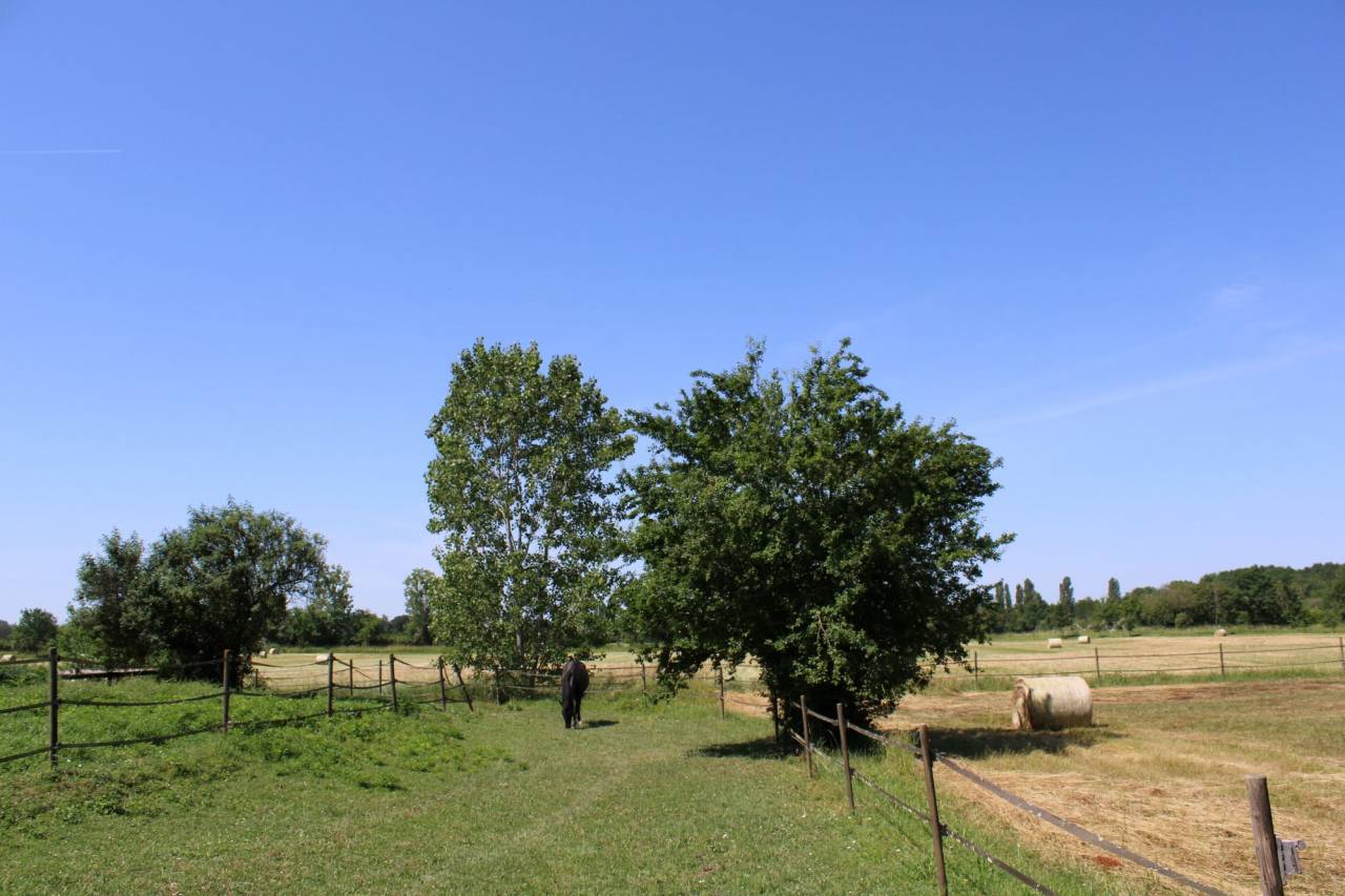 Propiedad ecuestre En venta Tarn y Garona
