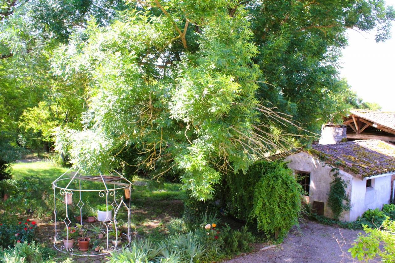 Propiedad ecuestre En venta Tarn y Garona