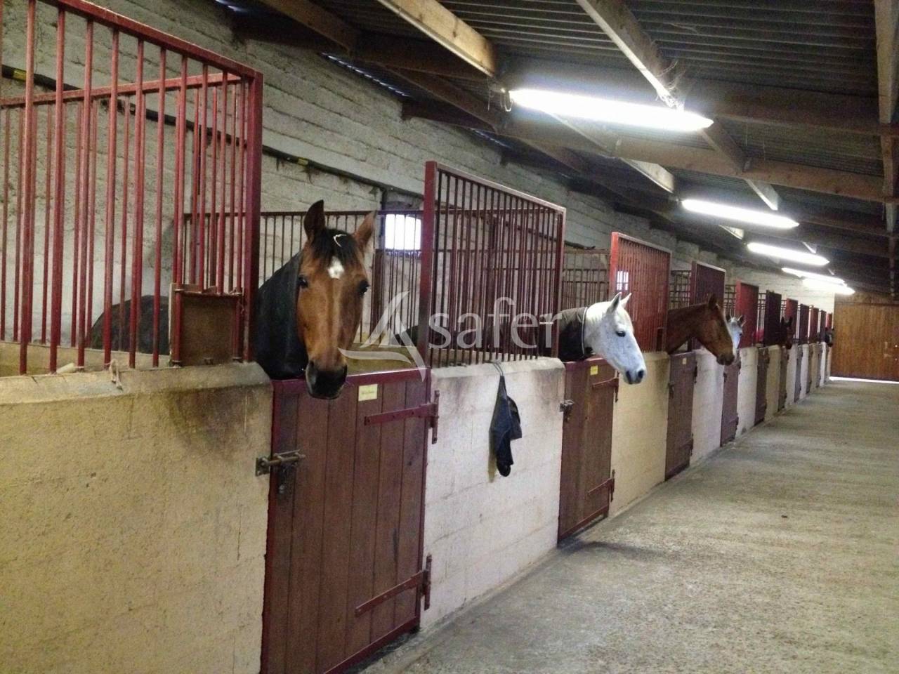 Propiedad ecuestre En venta Essonne