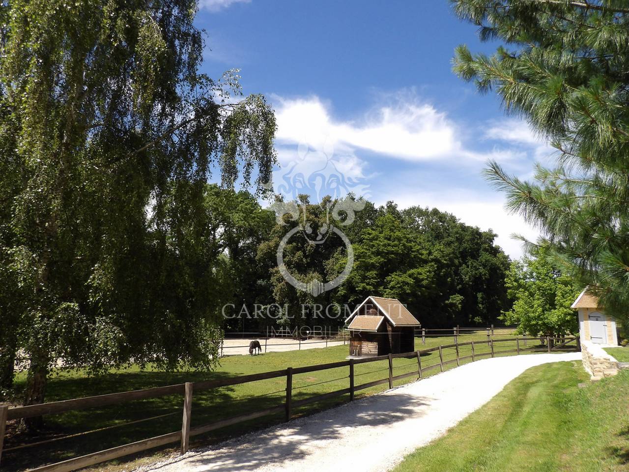Bonita residencia ecuestre En venta Essonne