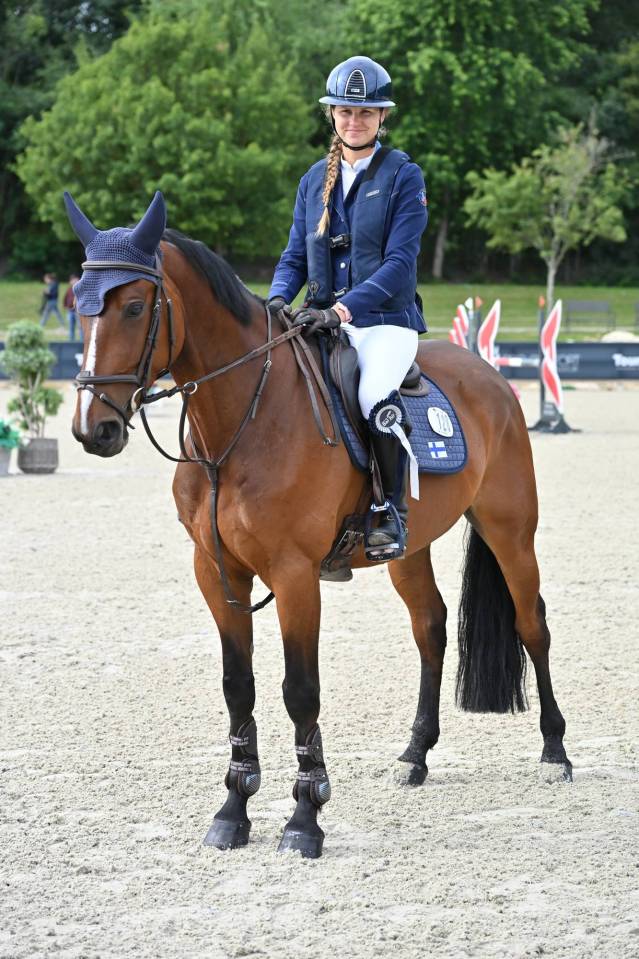Caballo castrado sBs Caballo de Deporte Belga En venta 2020 Bayo