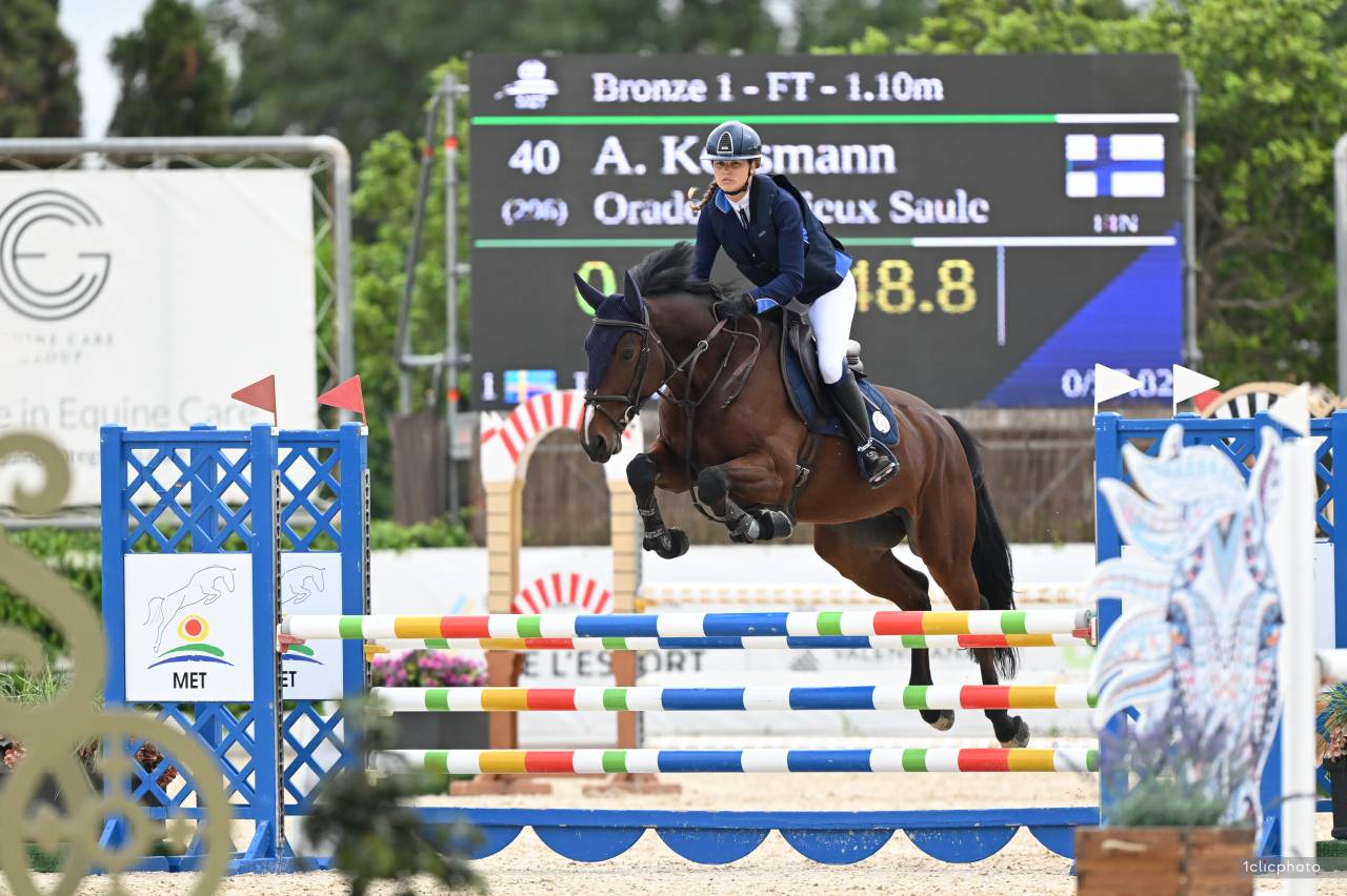 Caballo castrado sBs Caballo de Deporte Belga En venta 2020 Bayo